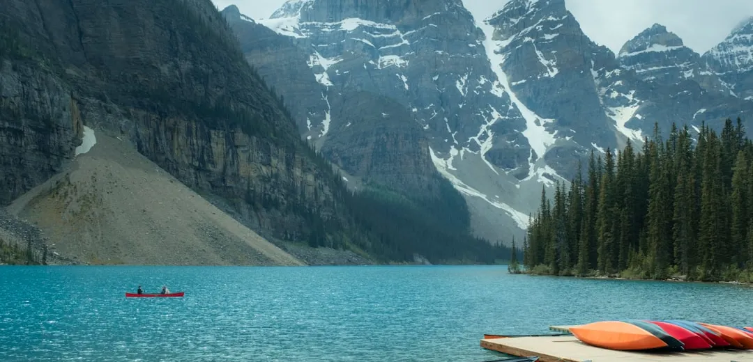 Best Kayaking Destinations for Wildlife Viewing