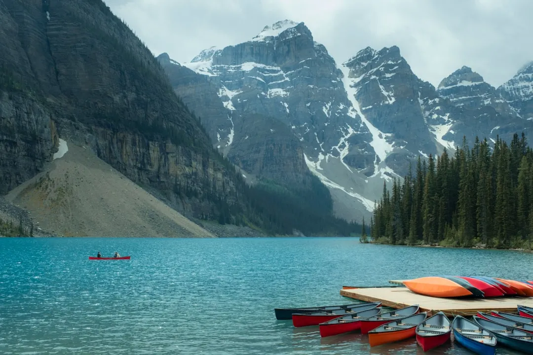 Vancouver Island kayaking with whales