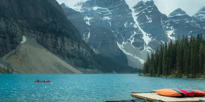 Best Kayaking Destinations for Wildlife Viewing