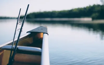Kayak Fishing for Beginners: The Complete Guide to Gear, Techniques, and Best Spots