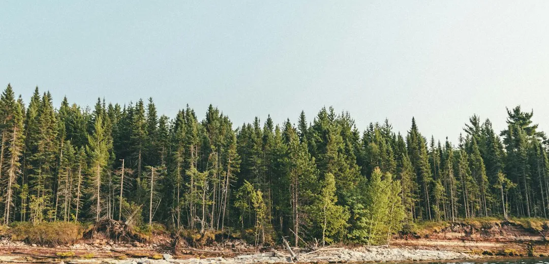 Kayaking and Conservation: How to Minimize Your Impact on the Environment