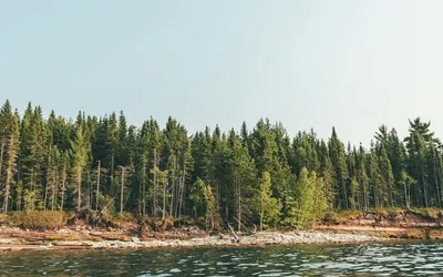 Kayaking and Conservation: How to Minimize Your Impact on the Environment