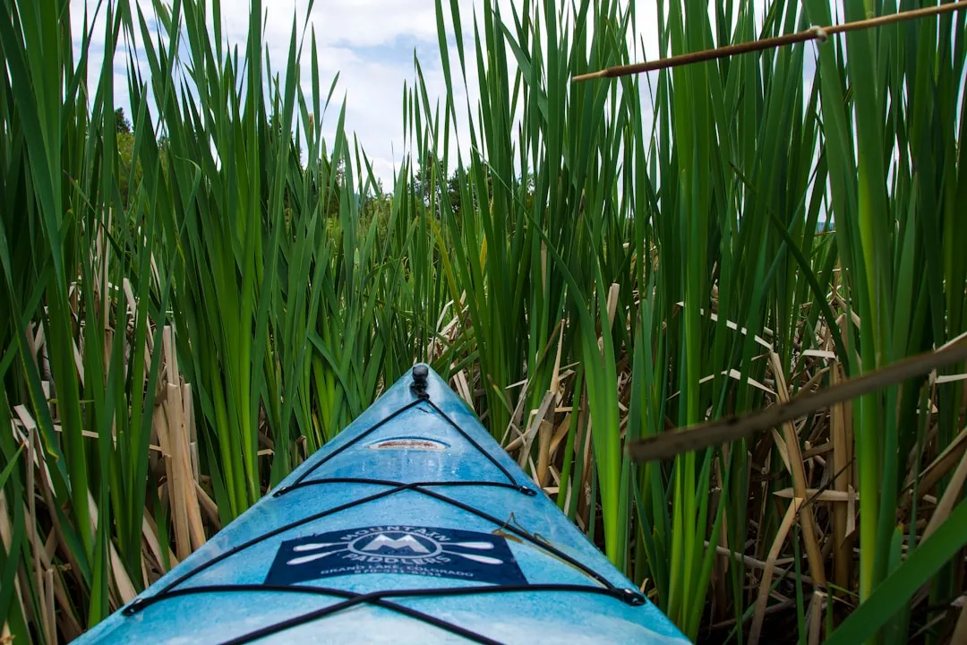 Kayaker practicing conservation on the water
