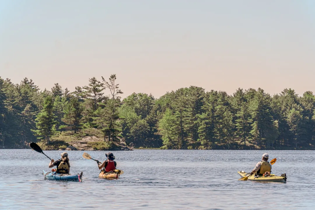 Kids and parent kayaking together