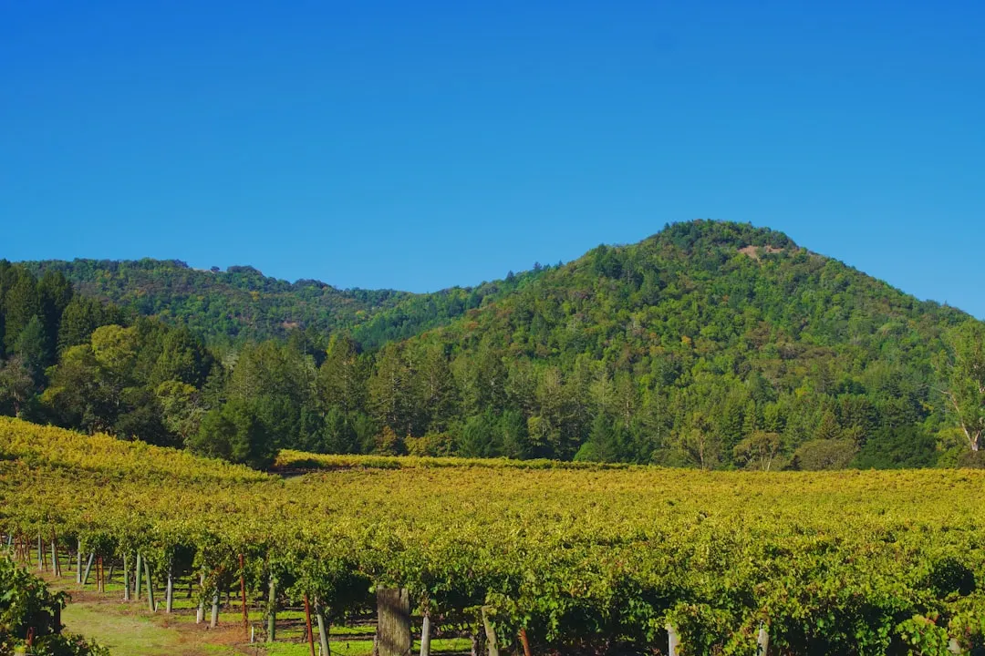 Enjoying the gentle waterways of wine country