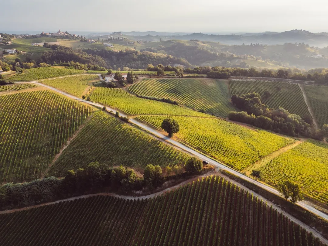 Wine country kayaking adventure awaits