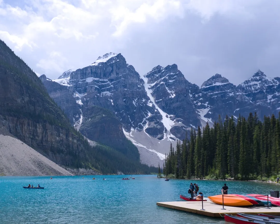 Wildlife viewing from kayak