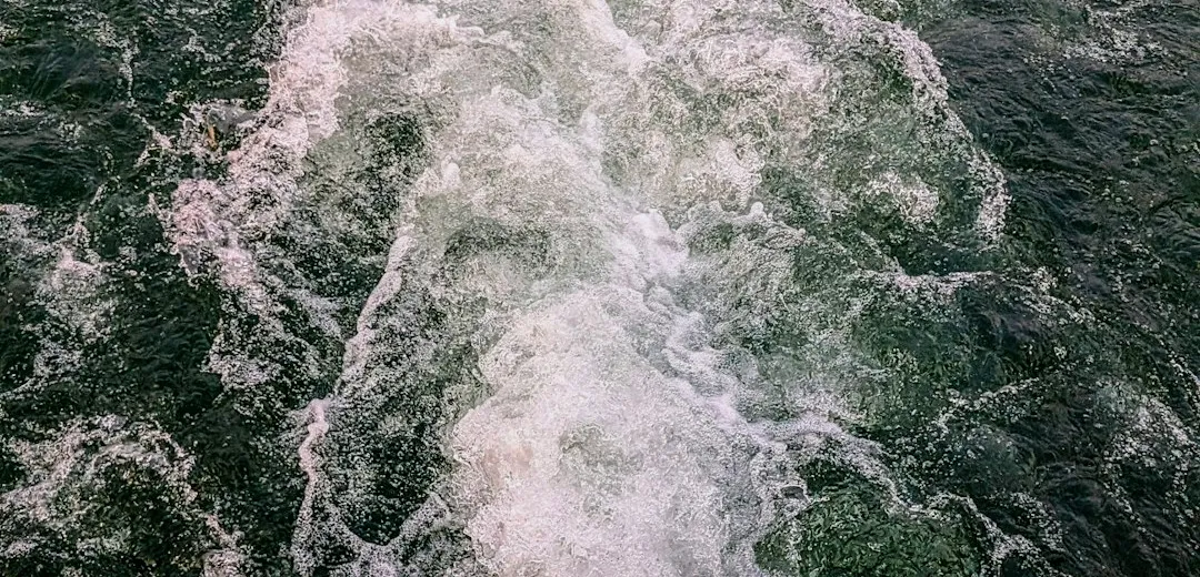 How to Read Water: The Complete Beginner Guide to Currents, Conditions, and River Features