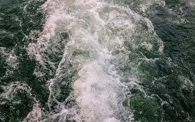 How to Read Water: The Complete Beginner Guide to Currents, Conditions, and River Features