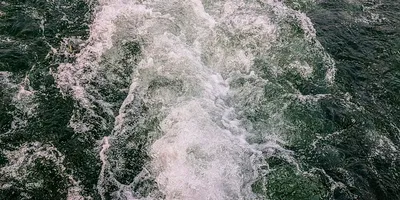 How to Read Water: The Complete Beginner Guide to Currents, Conditions, and River Features