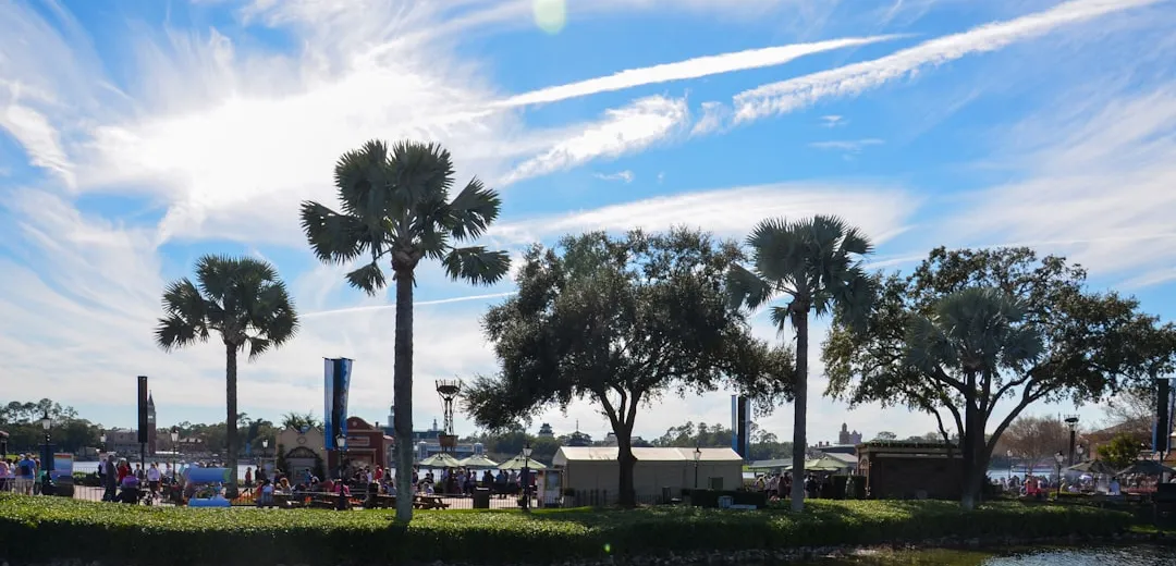 Escape the Crowds: Best Kayaking Spots in Orlando