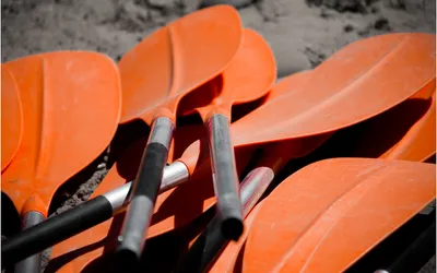 The Complete Guide to Kayak Paddles: Materials, Sizes, Blade Shapes, and Buying Tips
