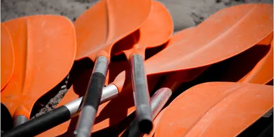The Complete Guide to Kayak Paddles: Materials, Sizes, Blade Shapes, and Buying Tips