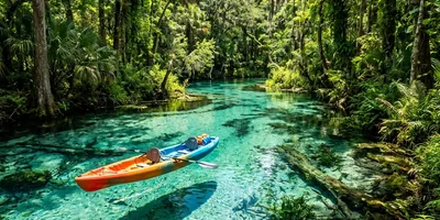 Escape the Crowds: 7 Best Kayaking Spots in Orlando