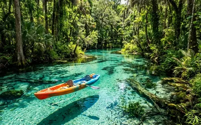 Escape the Crowds: 7 Best Kayaking Spots in Orlando