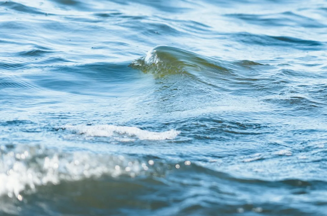Kayaker reading water features on a river