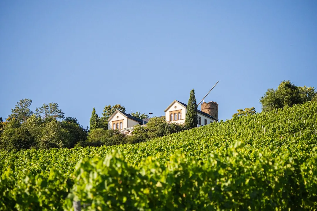 Exploring wine country waterways with Getaway Adventures