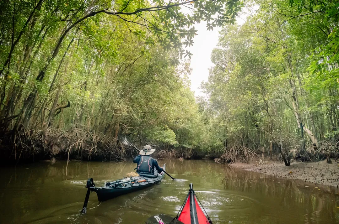 Kayaker with mountain backdrop