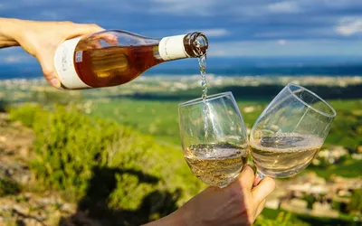 Sip and Paddle: The Best Kayaking Spots in Wine Country