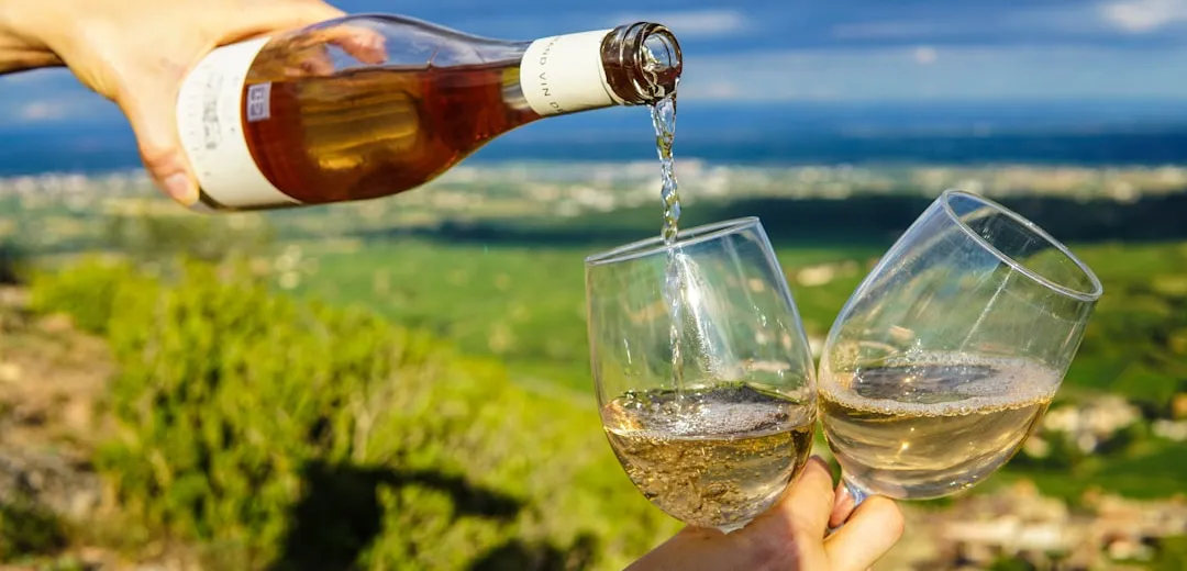 Sip and Paddle: The Best Kayaking Spots in Wine Country