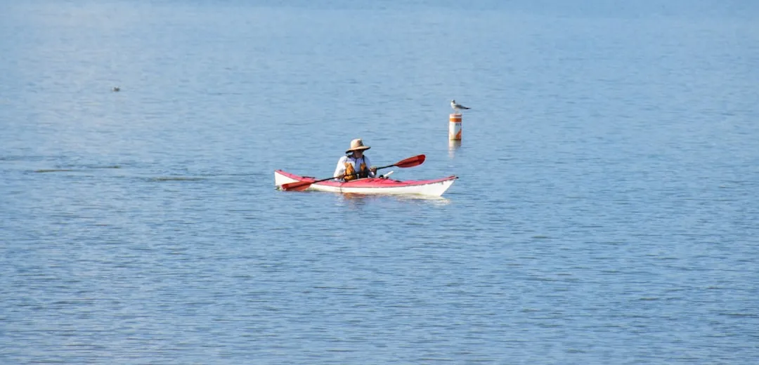 Sea Kayaking vs. Lake Kayaking: Key Differences You Should Know