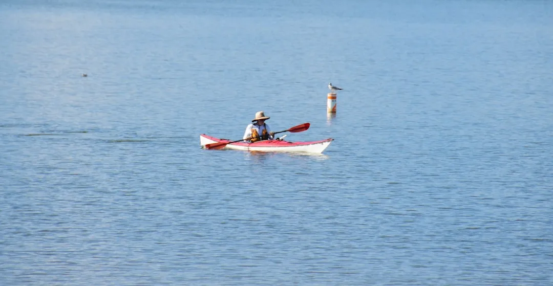 Sea kayaking in coastal waters showing the dynamic conditions of ocean paddling