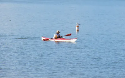 Sea Kayaking vs. Lake Kayaking: Key Differences You Should Know