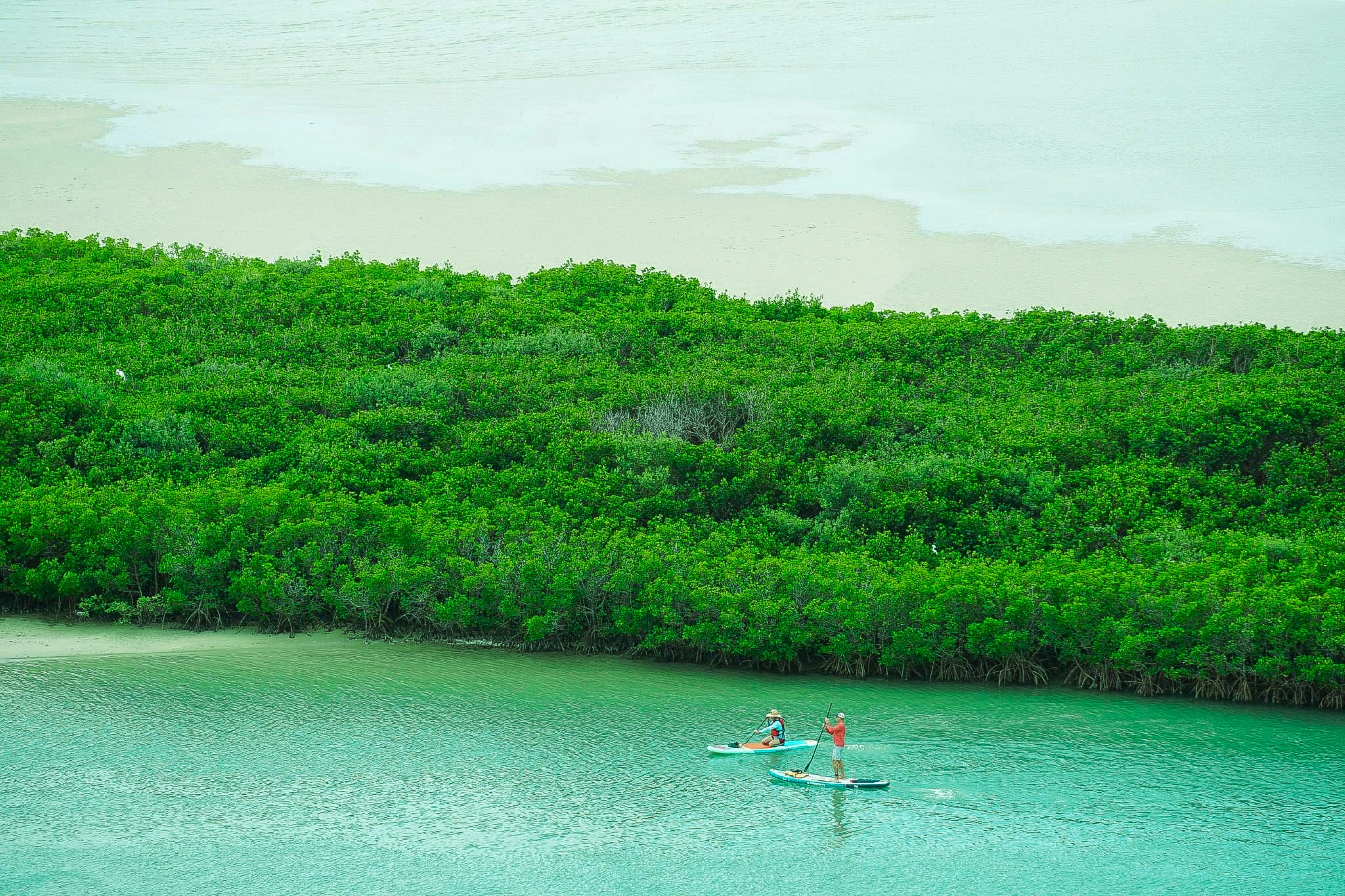 Stand-up paddle boarder gliding across crystal-clear Rainbow Springs in Florida, with lush green shoreline and bright sunny sky